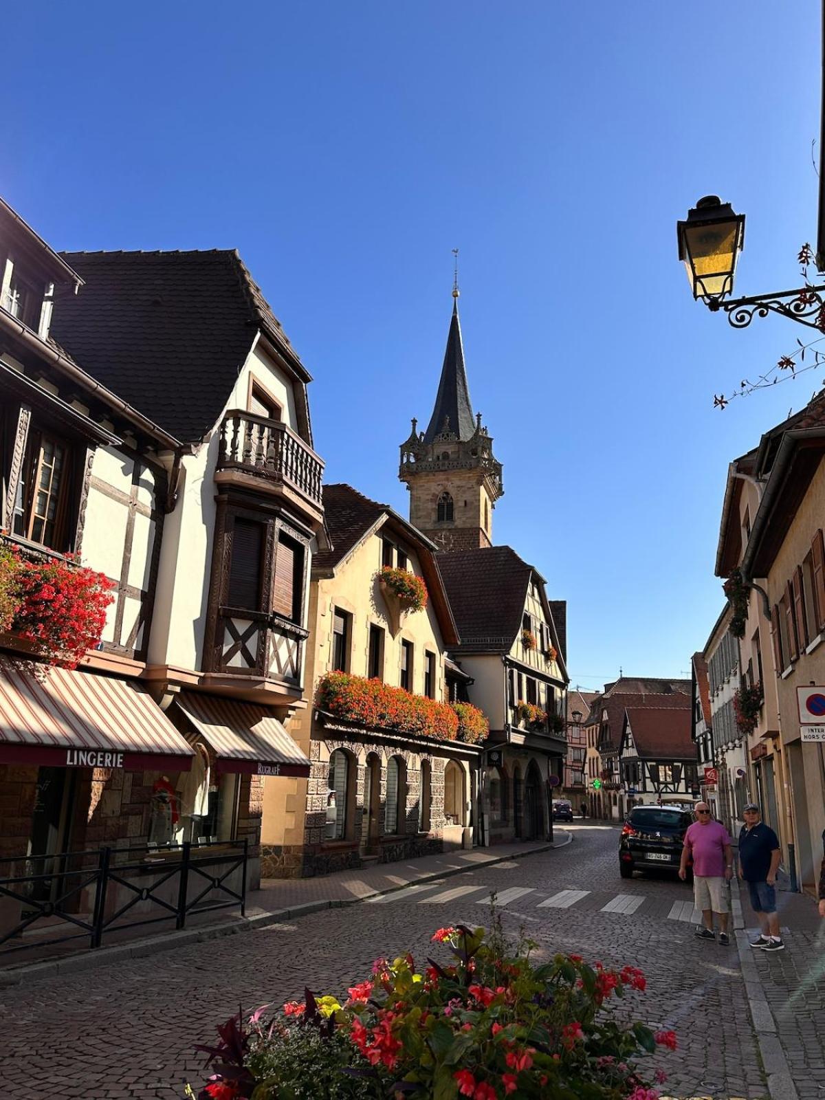 Le Nid Cosy D'Obernai /2Min Centre Ville/Parking Exterior photo